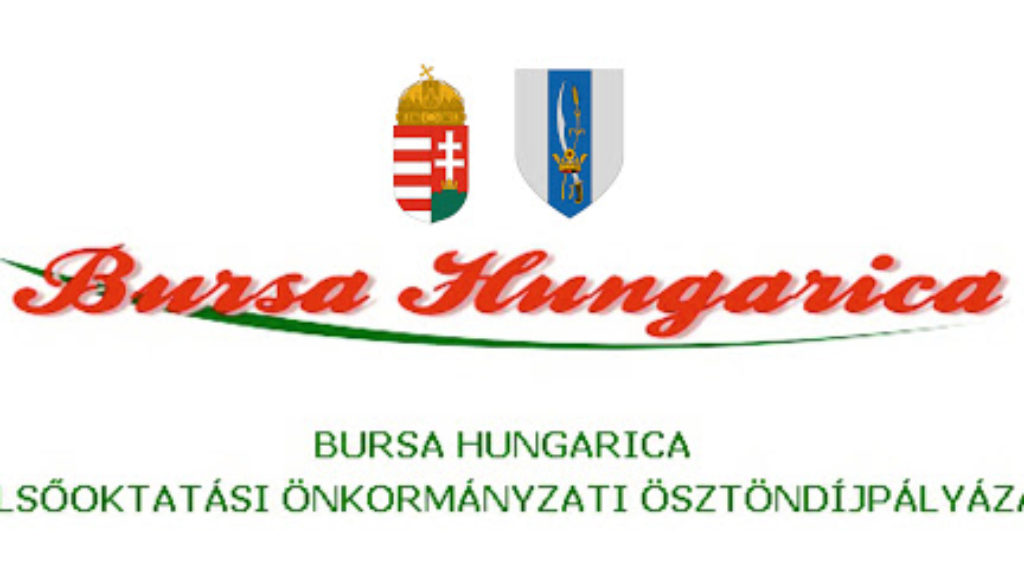 bursa