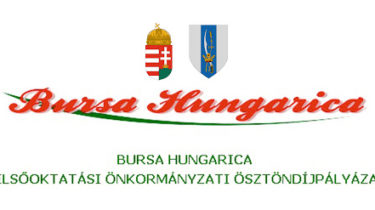 bursa